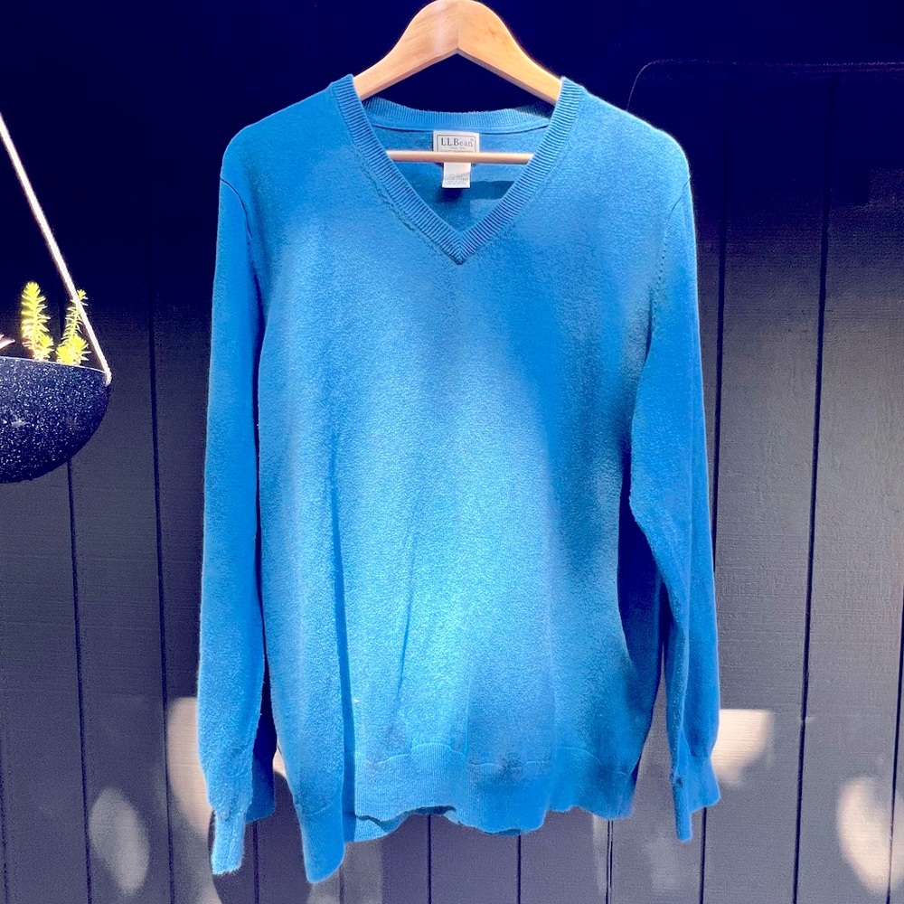 L.L. Bean V-neck Sweater!